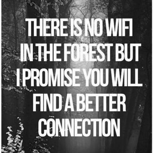 Absolutely @candyskinkyplace .  I took a quad ride deep into the woods yesterday,  shut it off and just listened to nature to clear my mind 