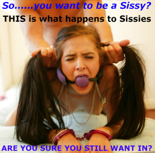 sissymaidtracy:  yourfaggotsissyfan:  thesissysandi:  jenni-sissy:  Captions for sissy sluts  http:/