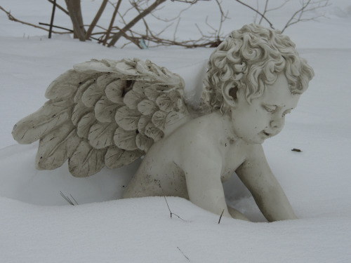 Porn ethareal:  snow angel  photos