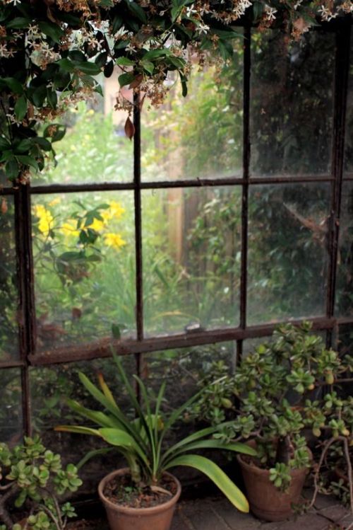 afairyheart:Garden Window