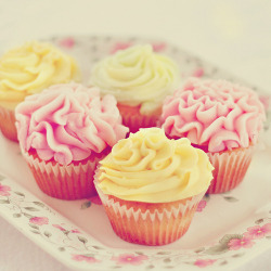 CUPCAKES!