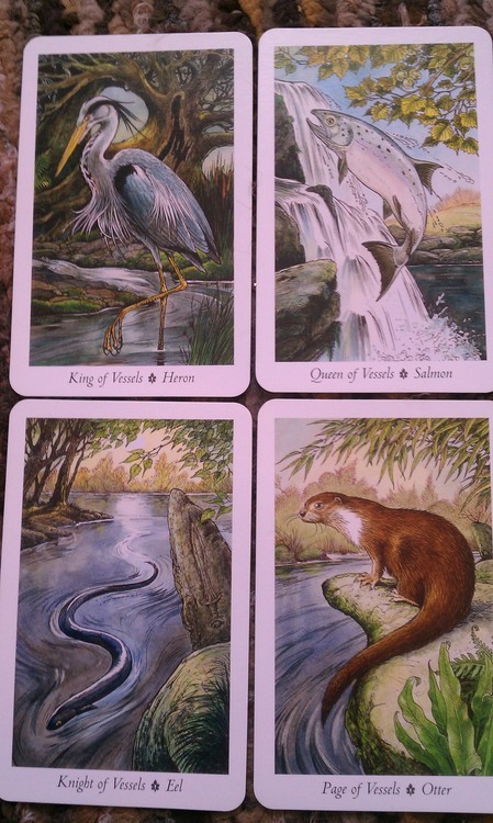 Bone And Feather The Wildwood Tarot 2 The Court Of Vessels