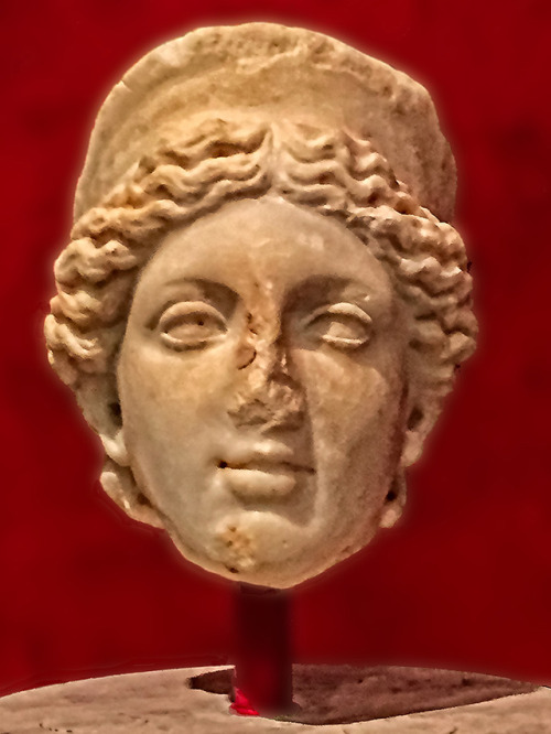 ggrissom:Head of Claudia Octavia - The University of Pennsylvania Museum of Archaeology and Anthropo