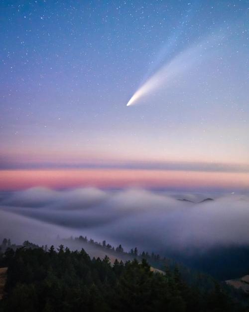 sixpenceee:Neowise Comet over a fog wave, San Fransisco Bay Area| source