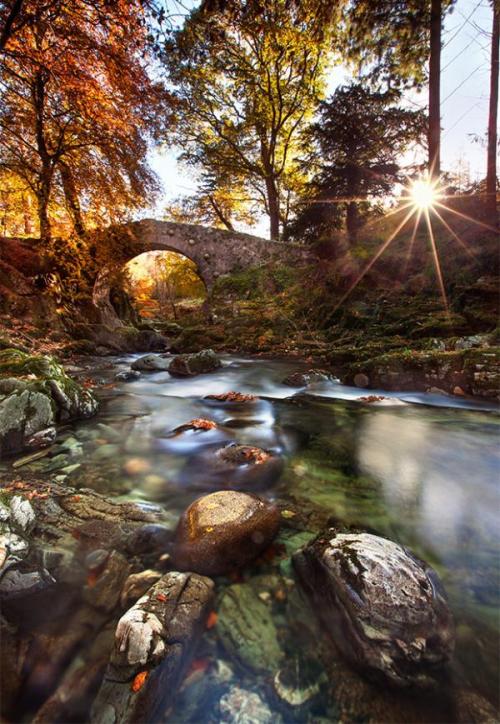 voiceofnature:  Photography of Scotland and Ireland by Stephen Emerson