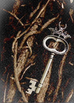 downmirkwood:  FAIRY TALE MEME [2/5]  Enchanted / magical objects: Bleubeard’s