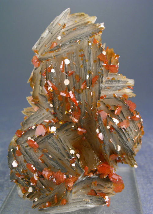 Vanadinite on Barite - Mibladen, Morocco