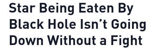 e-leri:  an article about me 