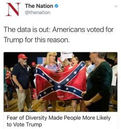 frontpagewoman:  “Fear of Diversity”=Racism