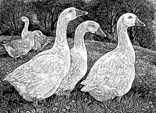 pagewoman:Geese in the Meadowby Sue Scullard