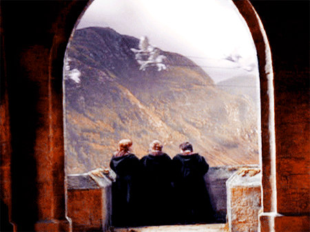 georgeweasleyx:Though we may come from different countries and speak in different tongues, our heart
