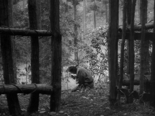 disorienteddreams: Sanshô Dayû (Kenji Mizoguchi, 1954)