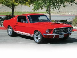 justoldmustangs:  1967 Fastback Ford Mustangs.