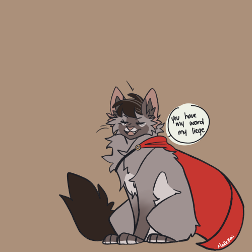 Brain Went Brrr And Said Yeah Cat Jed And Octy AU Makes Sense And Now Were Here