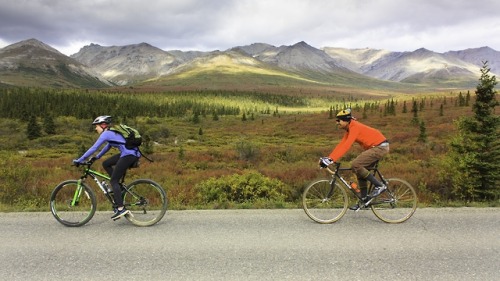 Cycling in our national parks is a different way to enjoy the parks you love.