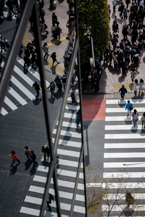 Street scene, Tokyoinstagram : @446i