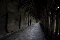 garettphotography: Lincoln Cathedral Cloisters