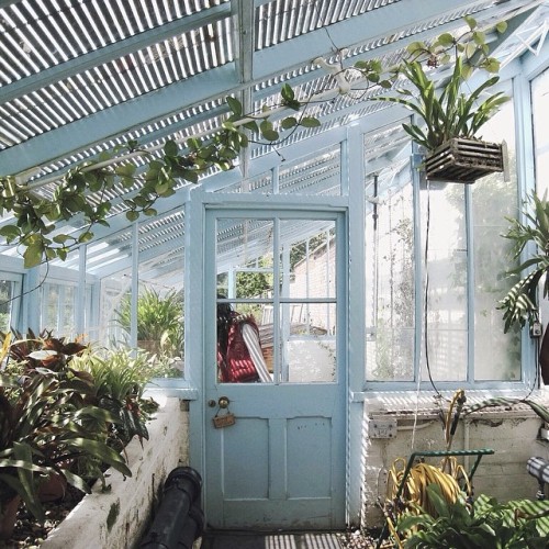 freiska: Darwin’s greenhouse, Kent / from the uk school trip three years ago, I just remembere