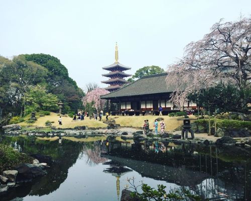 ⛳1700. 浅草寺 伝法院庭園 / Senso-ji Temple Denpoin Garden, Asakusa, Tokyo It is a Japanese garden that is us