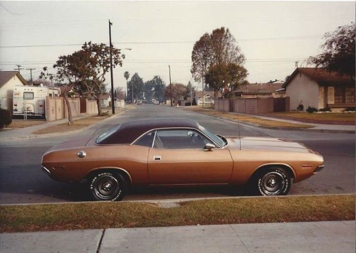 peelerboy: Got some Imperial wheels on his `70 Challenger.