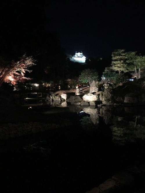 the motivation and time to draw never intersect these days so have some pics i took at hikone castle