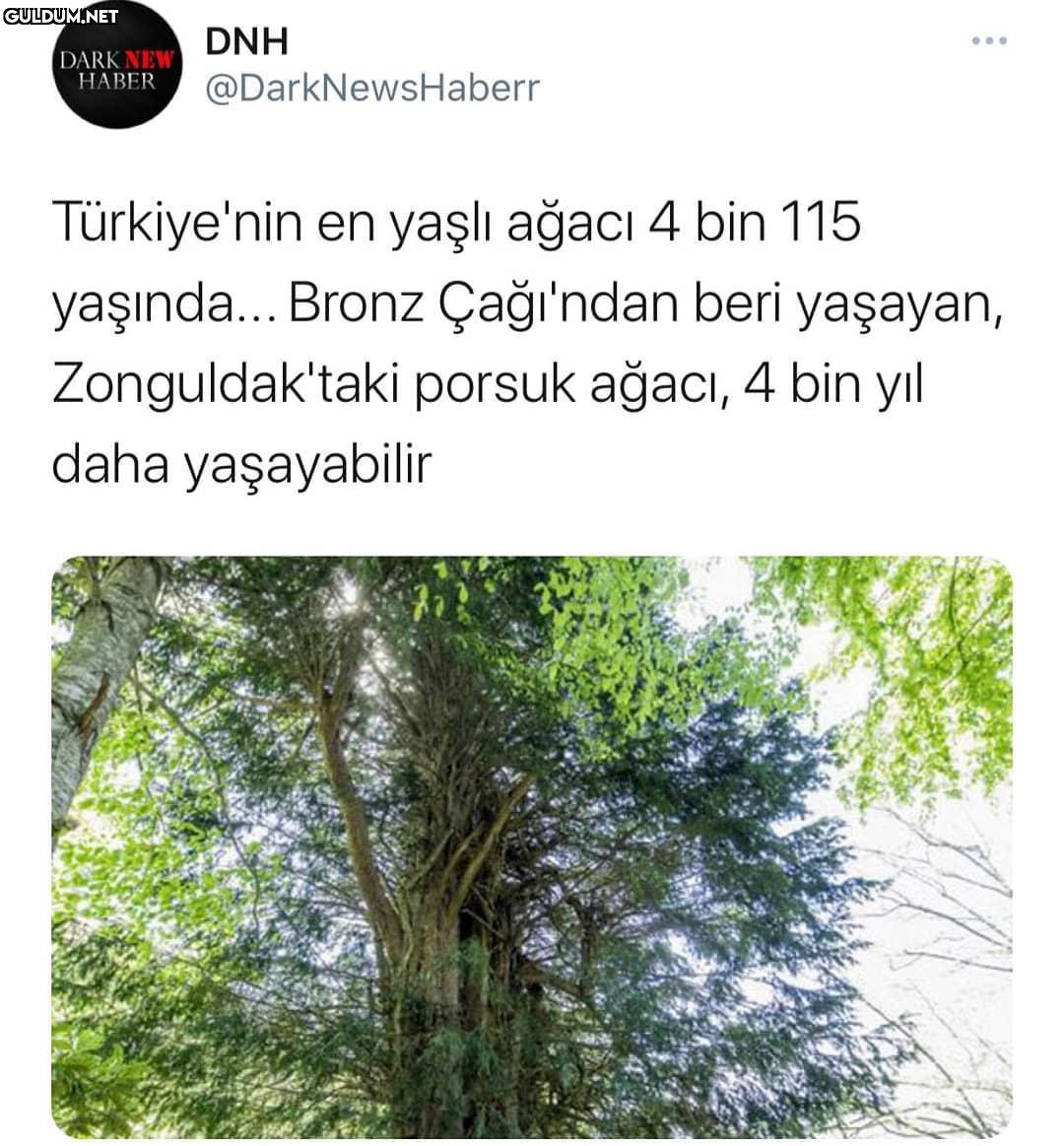 Biz zarar vermezsek yaşar...