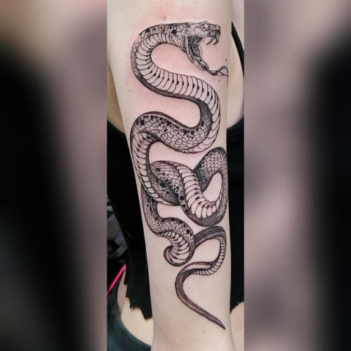 #blackwork #fineline #venomous #snake #tattoo by #femaletattooartist #femaletattooer #angelmaeglutz 