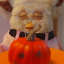 satin-the-long-furby