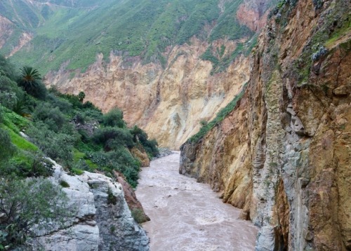 Colca Canyon Leaving from Arequipa, we went on a two day, one night trek into the canyon - the secon