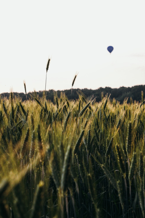 olli-dressler:  Photographer