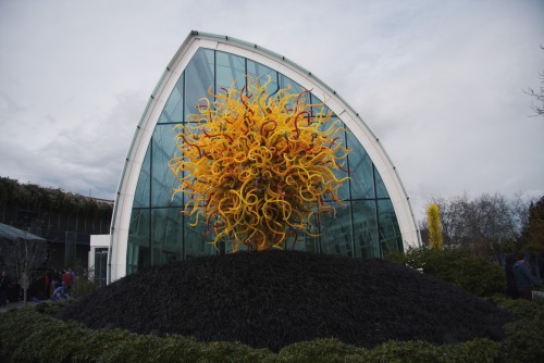 Chihuly Museum, Seattle