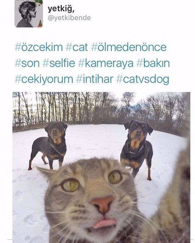 yetkig,
@yetkibende
#özceki...