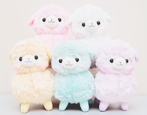 Sex akaashie:  sherbert kids alpacasso  ♥ pictures