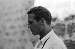 voxsart:  Buttoned Down. Paul Newman, 1959.