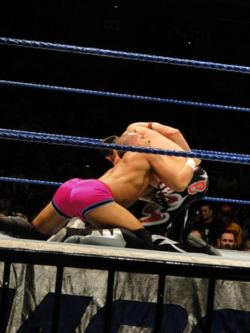 rwfan11:Tyson Kidd