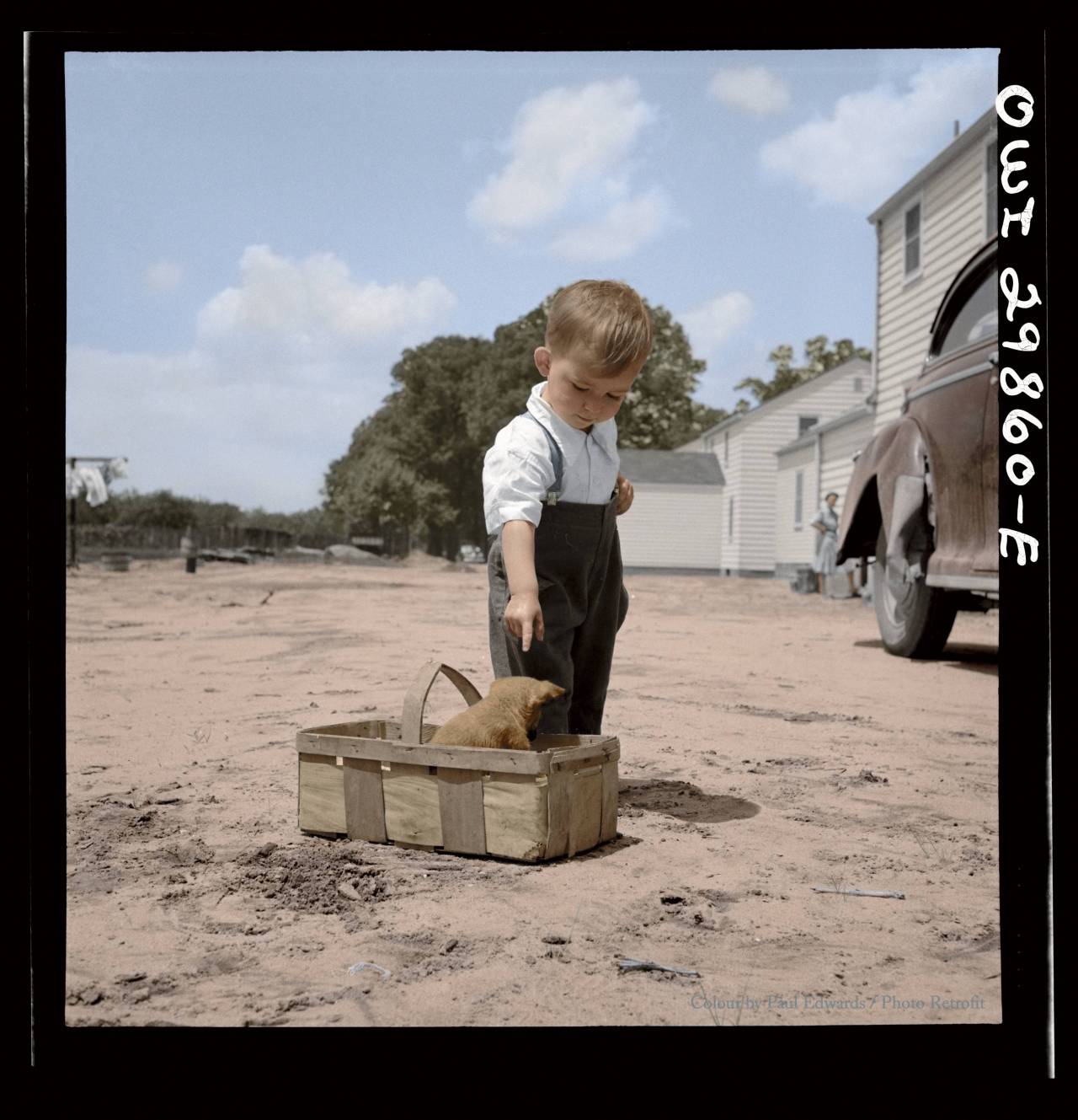 itshistory:  Point Pleasant, West Virginia. A small child with a puppy. May 1943