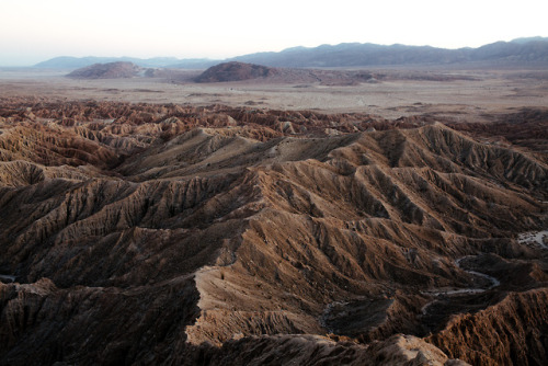 jonahreenders: anza borrego state parkjonah reenders | instagram