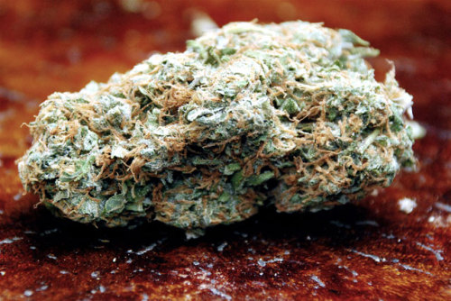 pittl:  New Post has been published on Potterest http://potterest.com