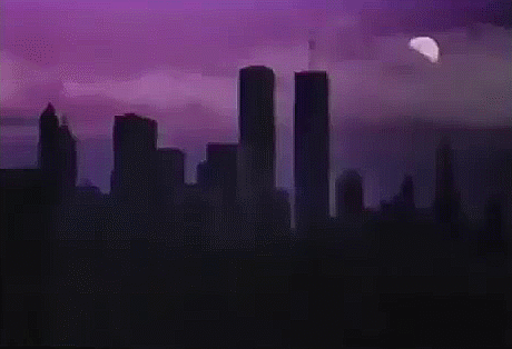 tumblr_p6j12bNgRR1vtnv5po1_500.gifv