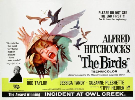 birds-1963-015-poster-00m-wwa