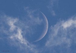 The Moon and Venus Captured in a Single Photograph