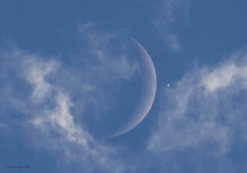 peachdusk:   The Moon and Venus Captured in a Single Photograph (Photograph by Éder Iván)   Holy mollly 