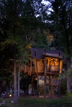 voiceofnature:  Crystal River Tree House, designed by Green Line Architects and “tree house expert” David Rasmussen. The 230 square-foot tree house is mainly supported by log columns, since  the trees on the property weren’t strong enough to build