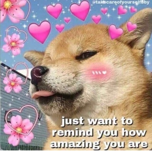 To Make Your Day Better