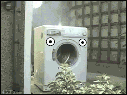 Just Funny Pictures