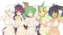 realestmatt:  Senran Kagura Peachy Beachy