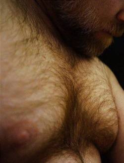 nichbchsr:  gulobear:  furry fur  :-) 