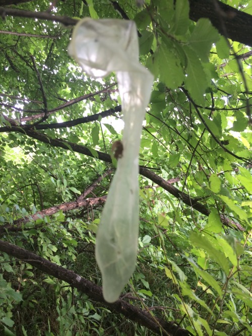 Just an old sexy used condom!