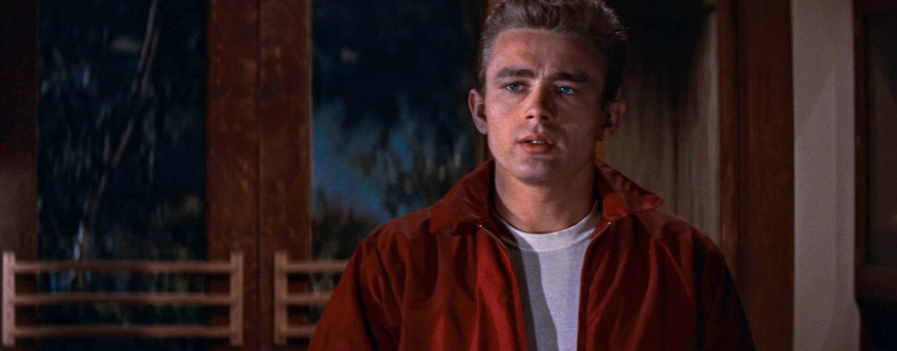 XXX tygerland:Rebel Without a Cause (1955) photo