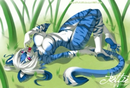 redtigerfurry:  The blue tiger cat :3 